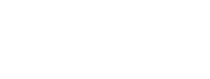 Ellis Financial Group, Inc.